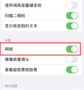 大悟苹果手机维修网点分享iPhone如何开启九宫格构图功能 