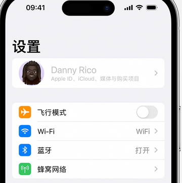 大悟appleID维修服务iPhone设置中Apple ID显示为灰色无法使用 