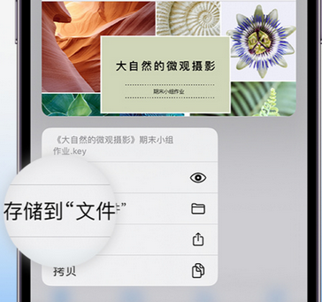 大悟apple维修中心分享iPhone文件应用中存储和找到下载文件