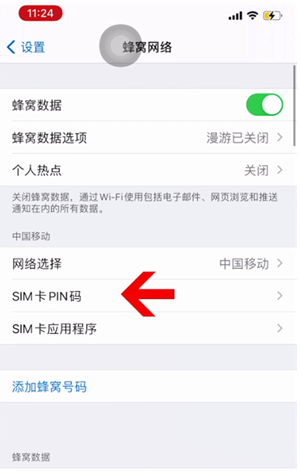 大悟苹果14维修网分享如何给iPhone14的SIM卡设置密码 