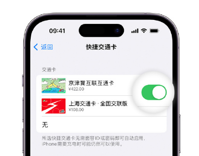 大悟apple维修点分享iPhone上更换Apple Pay快捷交通卡手绘卡面 