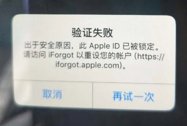 大悟iPhone维修分享iPhone上正常登录或使用AppleID怎么办 