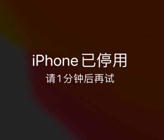 大悟苹果手机维修分享:iPhone 显示“不可用”或“已停用”怎么办？还能保留数据吗？ 