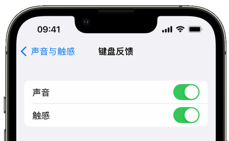 大悟苹果手机维修分享iPhone 14触感键盘使用方法 