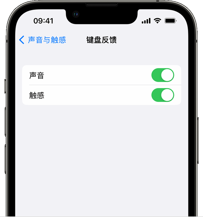 大悟苹果14维修店分享如何在 iPhone 14 机型中使用触感键盘 