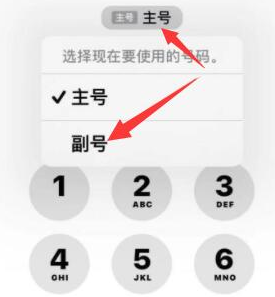 大悟苹果14维修店分享iPhone 14 Pro Max使用副卡打电话的方法 