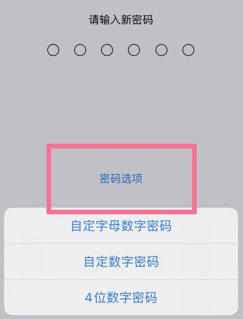 大悟苹果14维修分享iPhone 14plus设置密码的方法 