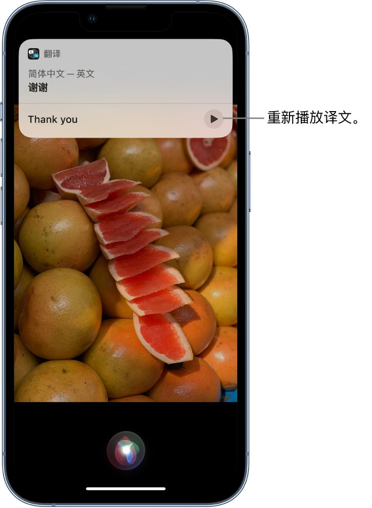 大悟苹果14维修分享 iPhone 14 机型中使用 Siri：了解 Siri 能帮你做什么 