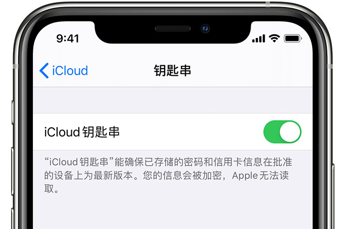 大悟苹果手机维修分享在 iPhone 上开启 iCloud 钥匙串之后会储存哪些信息 