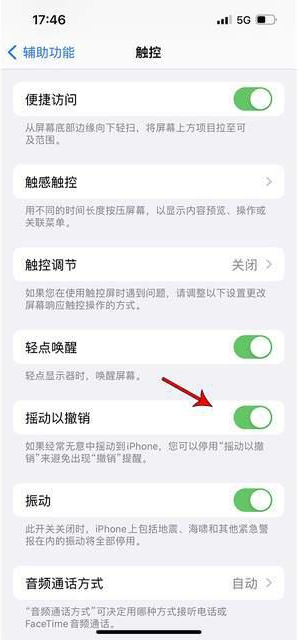 大悟苹果手机维修分享iPhone手机如何设置摇一摇删除文字 