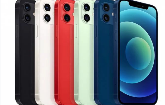 大悟苹果维修点分享iPhone12 Pro Max进水维修 